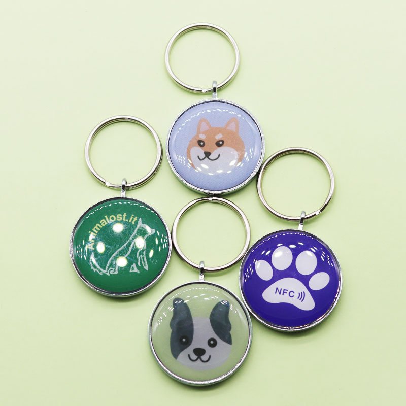 RFID Epoxy Key Chains Tags NFC 213 Pets Customize Access Control Keyfob Keychain Epoxy Smart NFC Cards