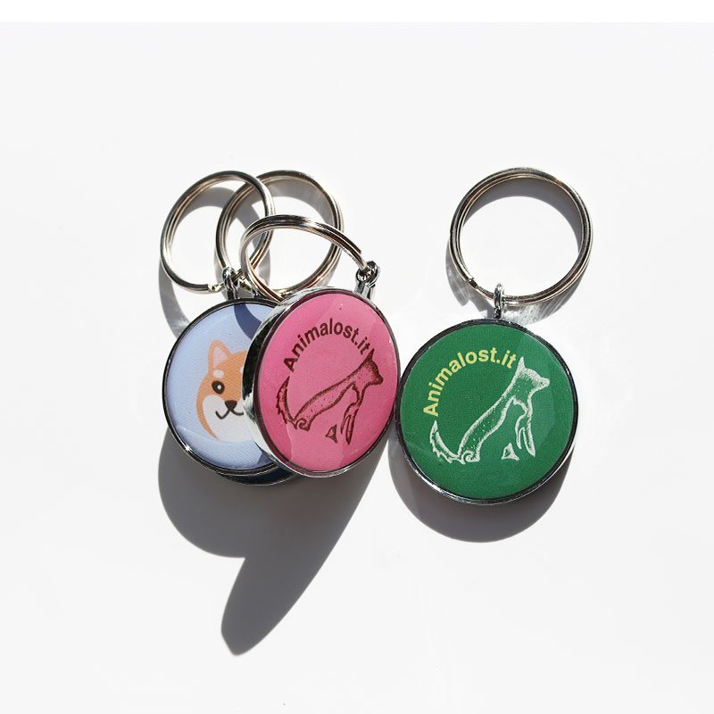 RFID Epoxy Key Chains Tags NFC 213 Pets Customize Access Control Keyfob Keychain Epoxy Smart NFC Cards