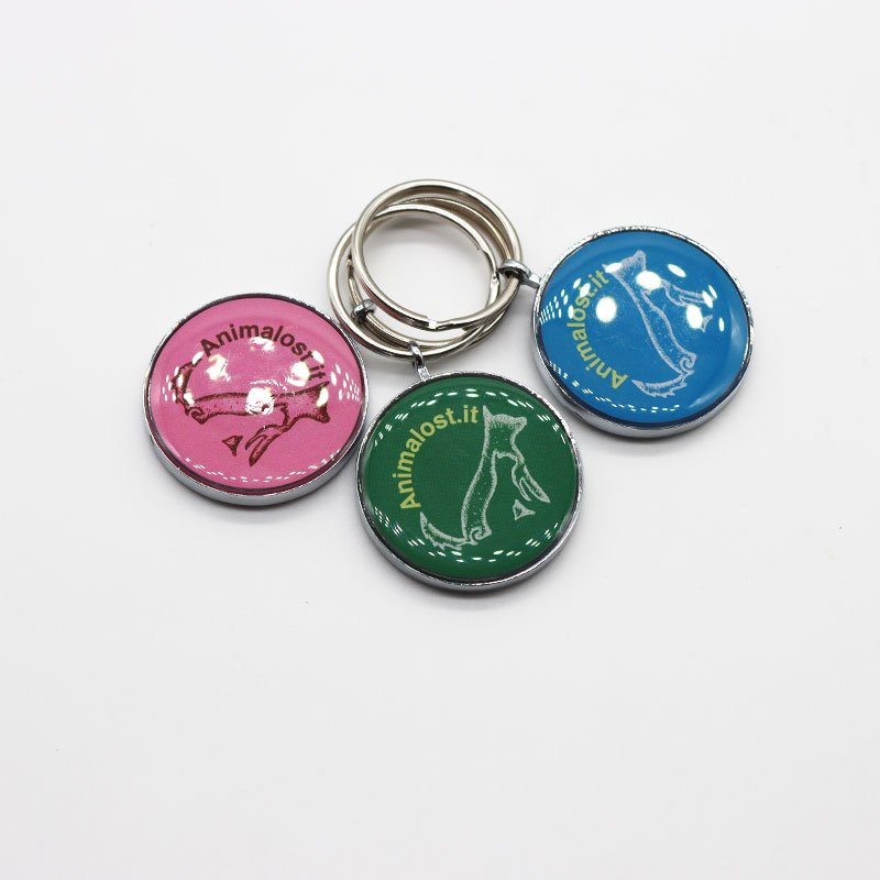 RFID Epoxy Key Chains Tags NFC 213 Pets Customize Access Control Keyfob Keychain Epoxy Smart NFC Cards
