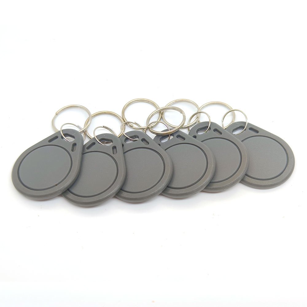 Custom Key Tag 125Khz TK4100 Blue Rfid Key Fobs For Access Control