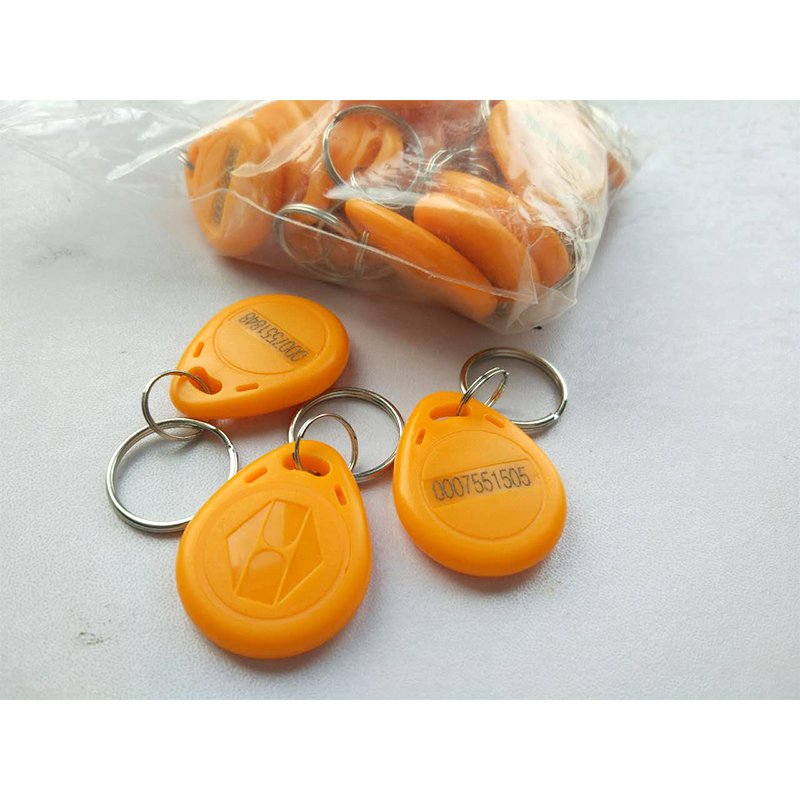 125Khz RFID Proximity EM TK4100 Card Key Keyfobs for Access Control Time Attendance