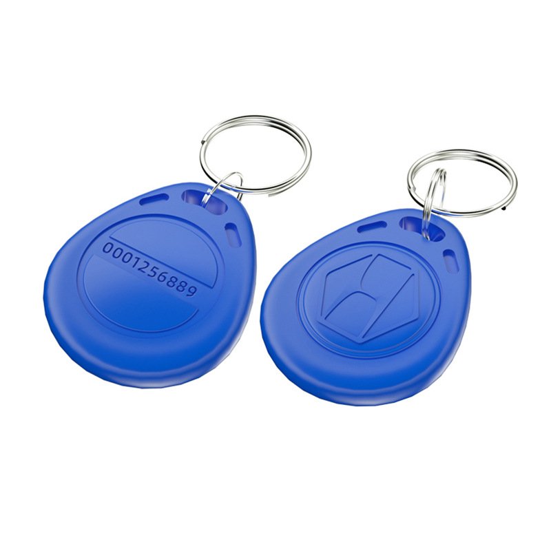 Wholesale Proximity Access Key Tag ID Cards 125 KHz 13.56 Mhz Chip RFID Key Fobs Key Chain IC Card