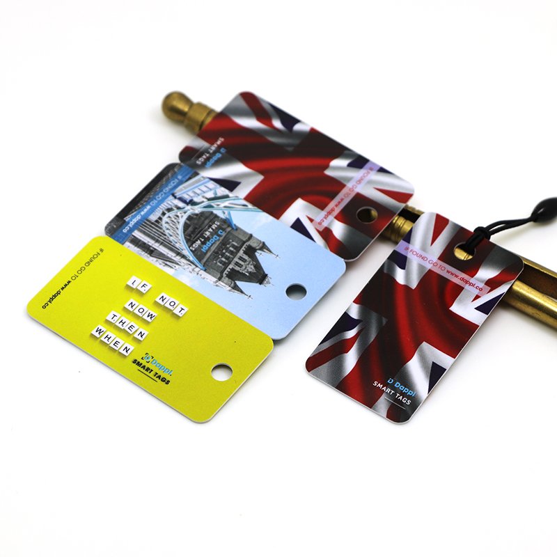 3 in 1 Combo Plastic Printing RFID NFC Membership Key Tags