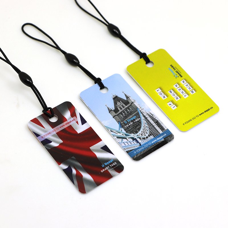 3 in 1 Combo Plastic Printing RFID NFC Membership Key Tags