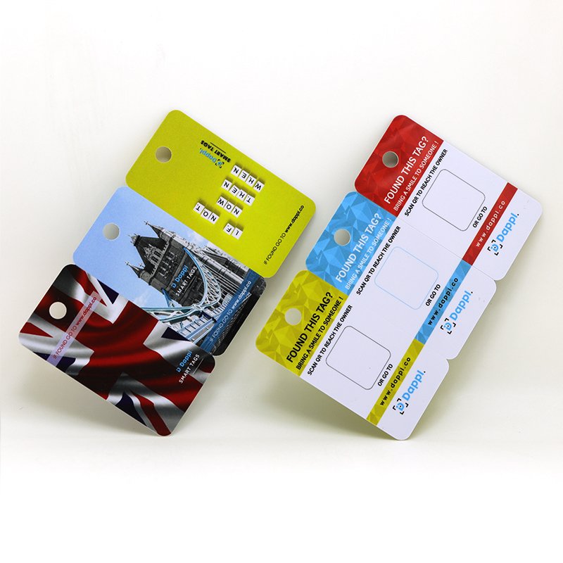 3 in 1 Combo Plastic Printing RFID NFC Membership Key Tags