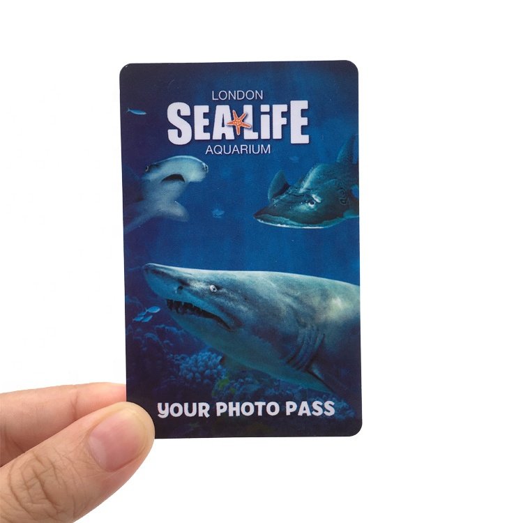 PVC RFID Chip Card 125Khz Print LOGO 13.56Mhz 860-960Mhz RFID Plastic Card