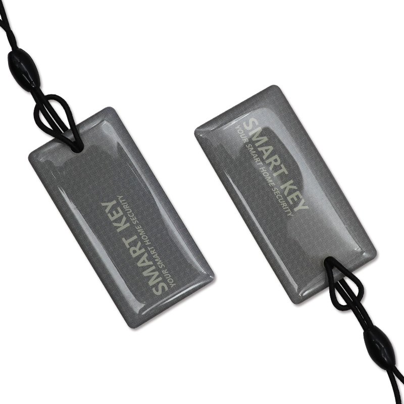 Customization Logo Variety Social Media Tags Original Chips HF 13.56 Mhz RFID Key Chain Waterproof Epoxy NFC Key Tag