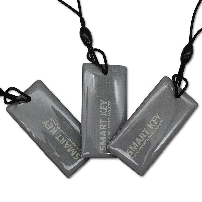 Customization Logo Variety Social Media Tags Original Chips HF 13.56 Mhz RFID Key Chain Waterproof Epoxy NFC Key Tag