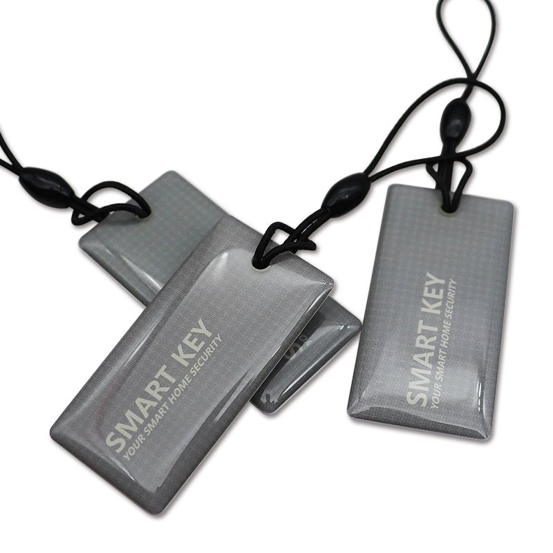 Customization Logo Variety Social Media Tags Original Chips HF 13.56 Mhz RFID Key Chain Waterproof Epoxy NFC Key Tag
