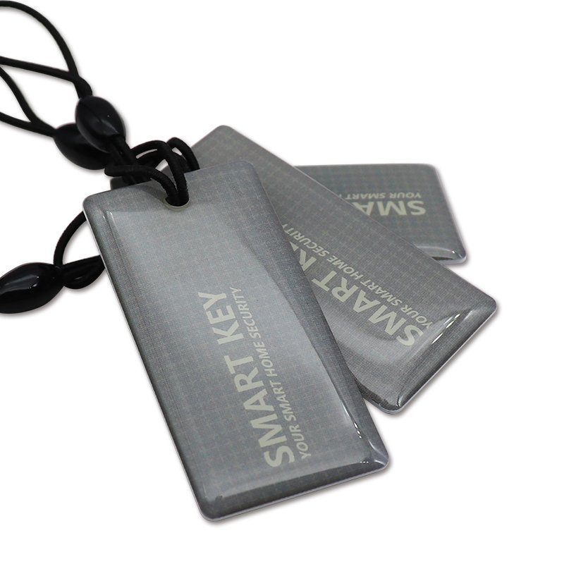 Customization Logo Variety Social Media Tags Original Chips HF 13.56 Mhz RFID Key Chain Waterproof Epoxy NFC Key Tag
