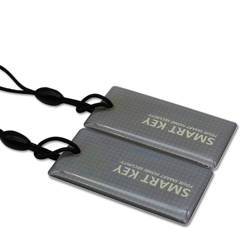 Customization Logo Variety Social Media Tags Original Chips HF 13.56 Mhz RFID Key Chain Waterproof Epoxy NFC Key Tag