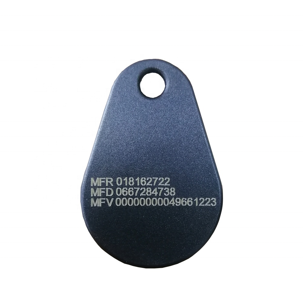 Customized Logo LF/HF 125Khz 13.56Mhz ABS RFID Key Fob Tag Card NFC Keychain For Access Control