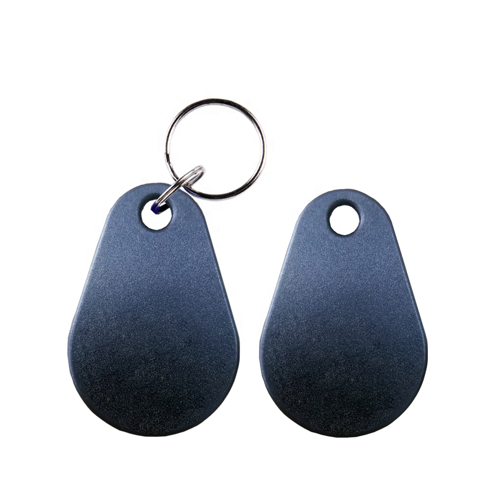 Customized Logo LF/HF 125Khz 13.56Mhz ABS RFID Key Fob Tag Card NFC Keychain For Access Control