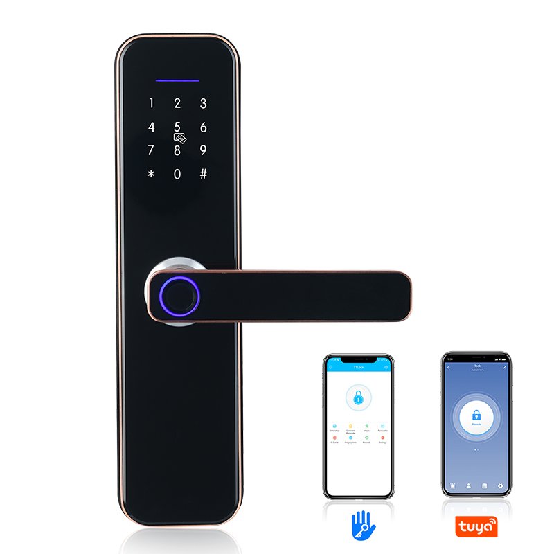 TTlock Wifi Remote Control Smart Lock Home Security Door Access Control Anti-theft Lock Biometric Fingerprint Lock