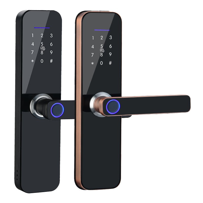 TTlock Wifi Remote Control Smart Lock Home Security Door Access Control Anti-theft Lock Biometric Fingerprint Lock