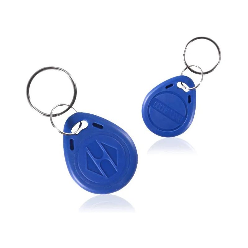 Wholesale Proximity Access Control Keyfob Tag 125KHz Key Fobs Door Locks Keyfob EV2 RFID Keychain