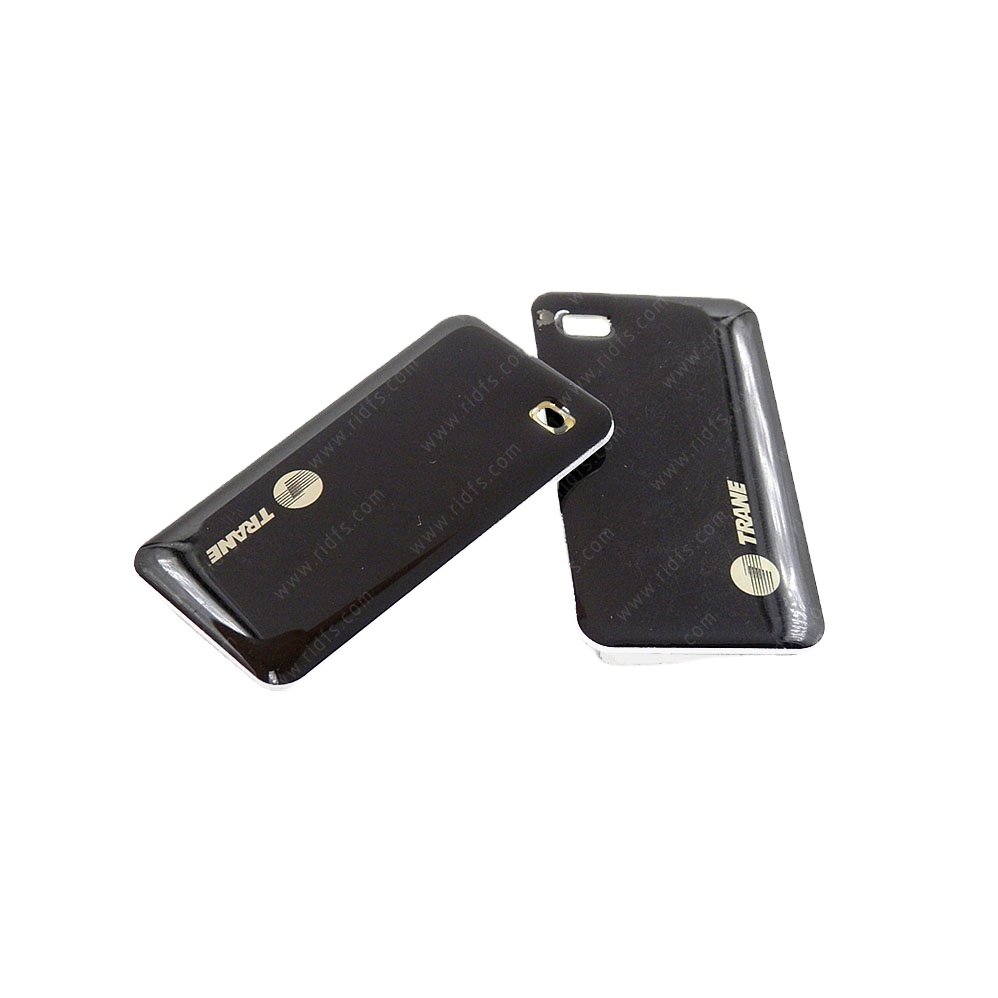 Customize Access Control RFID Epoxy Tag NFC Keyfob Keychain Epoxy Smart NFC Cards