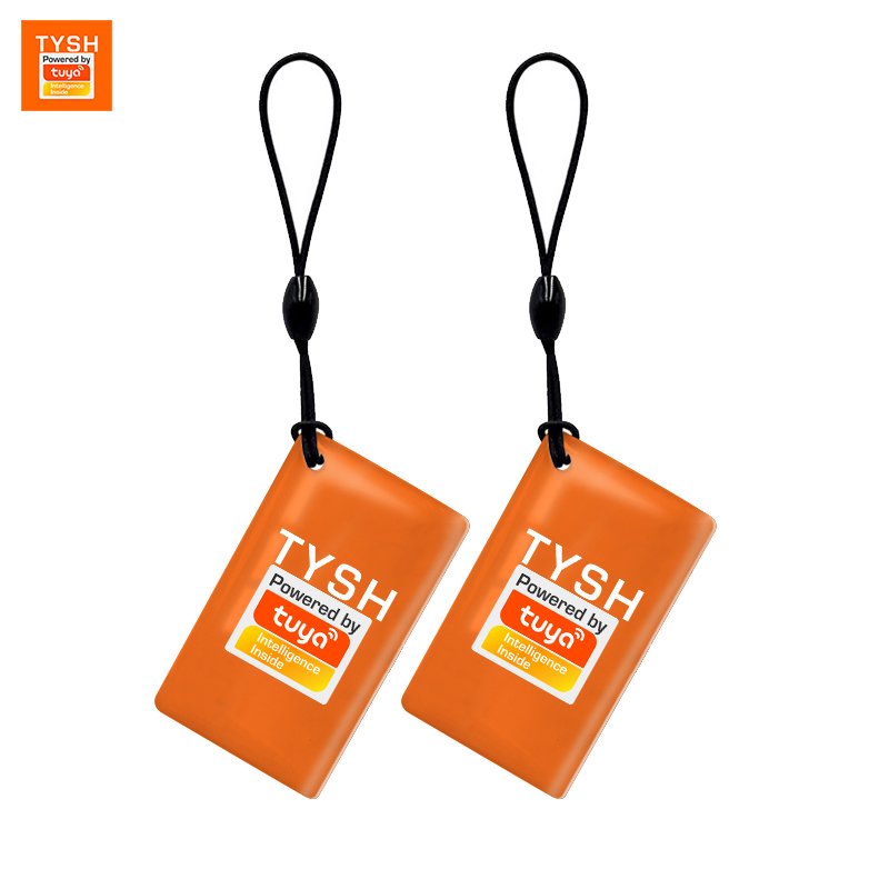 TYSH Wholesale Custom RFID Card with Logo Waterproof and Weatherproof 13.56Mhz Frequency