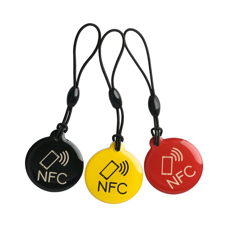 13.56MHz Proximity TK4100 EM4200 EM4305 T5577 RFID Keyfob Keychain Ring Rewritable RFID Key Fob Tag ID key card