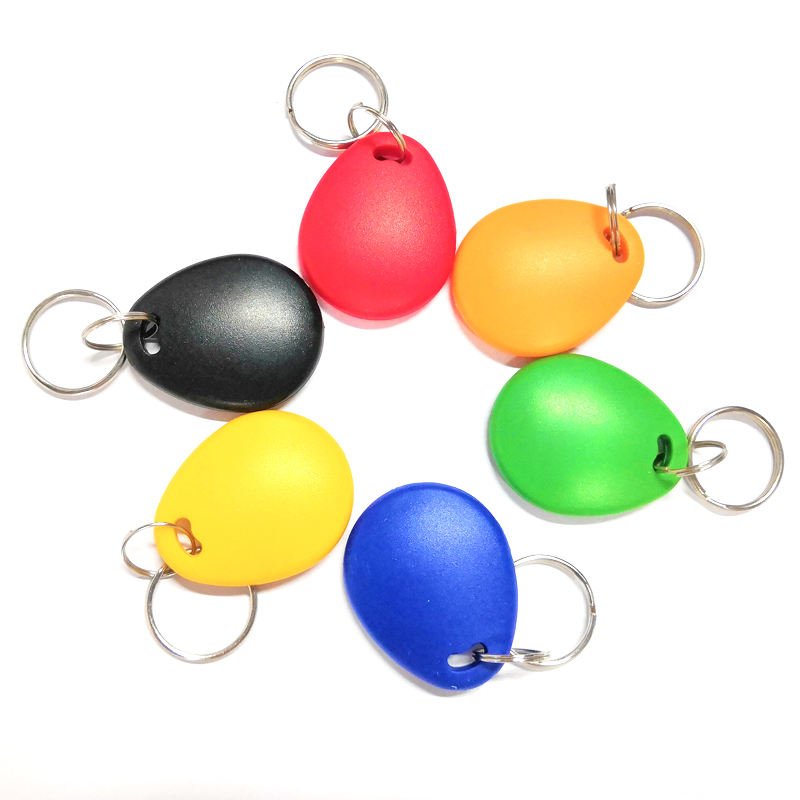 13.56MHz Proximity TK4100 EM4200 EM4305 T5577 RFID Keyfob Keychain Ring Rewritable RFID Key Fob Tag ID key card