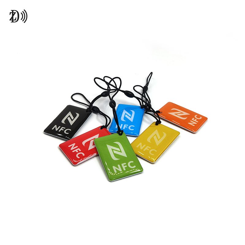 Programmable 13.56Mhz Epoxy Tag EV Charging Customized Printing MIFARE 1K keychain Tag