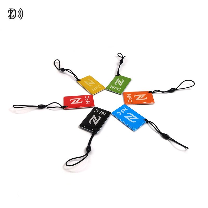 Programmable 13.56Mhz Epoxy Tag EV Charging Customized Printing MIFARE 1K keychain Tag