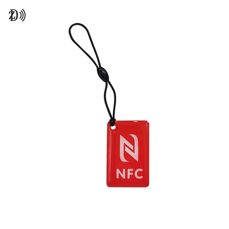 Programmable 13.56Mhz Epoxy Tag EV Charging Customized Printing MIFARE 1K keychain Tag
