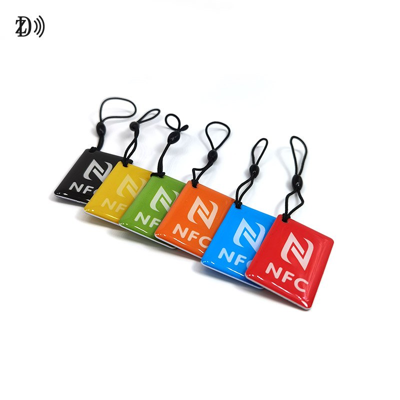 Programmable 13.56Mhz Epoxy Tag EV Charging Customized Printing MIFARE 1K keychain Tag