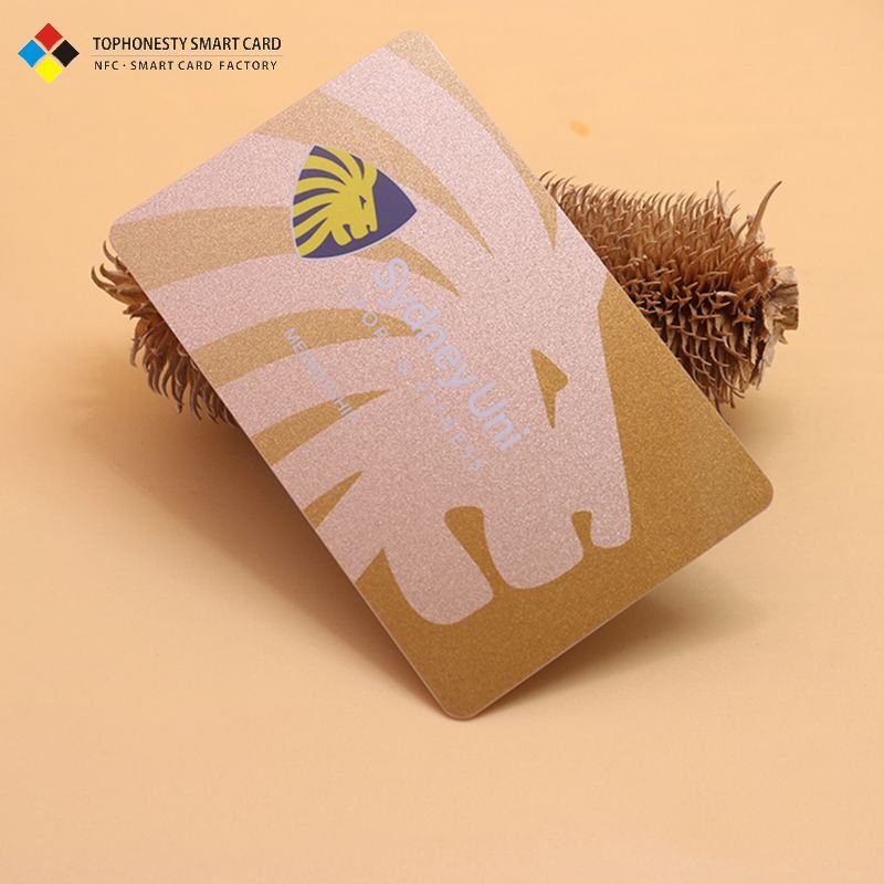 Low MOQ Customized PET Material VIP Card Loco/Hico Magnetic Stripe Hotel Key Card Mini RFID NFC Interface 13.56MHz Waterproof 1K