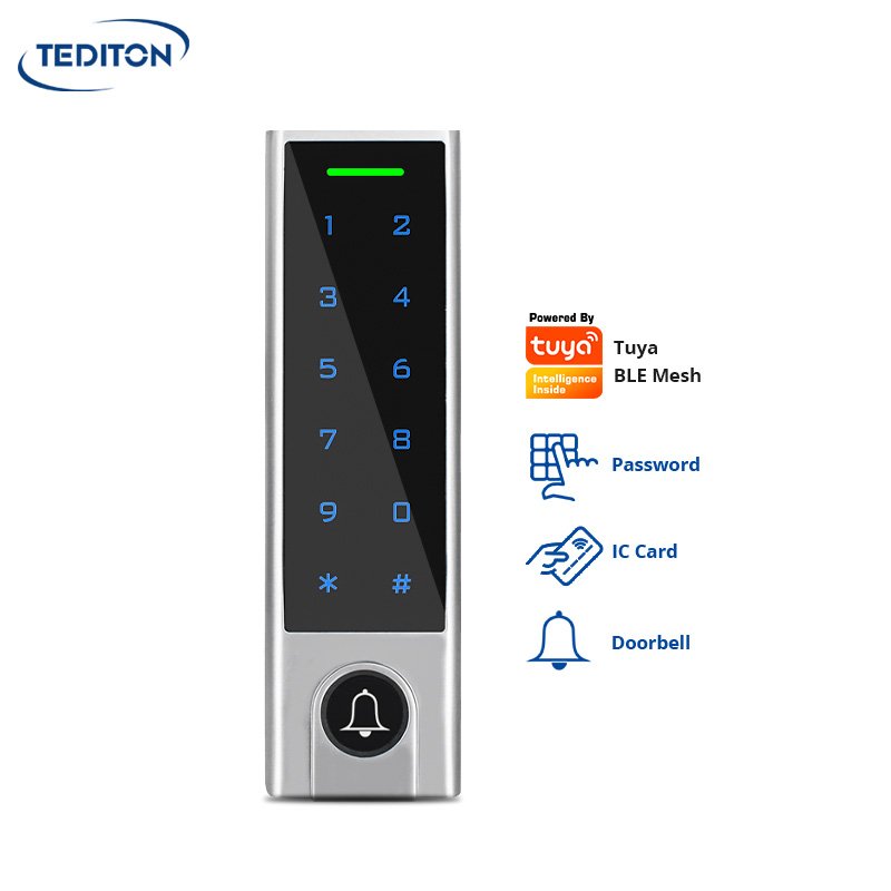Tediton Wholesaler price Waterproof Tuya App Smart Lock Door Standalone Access Control with Keypad