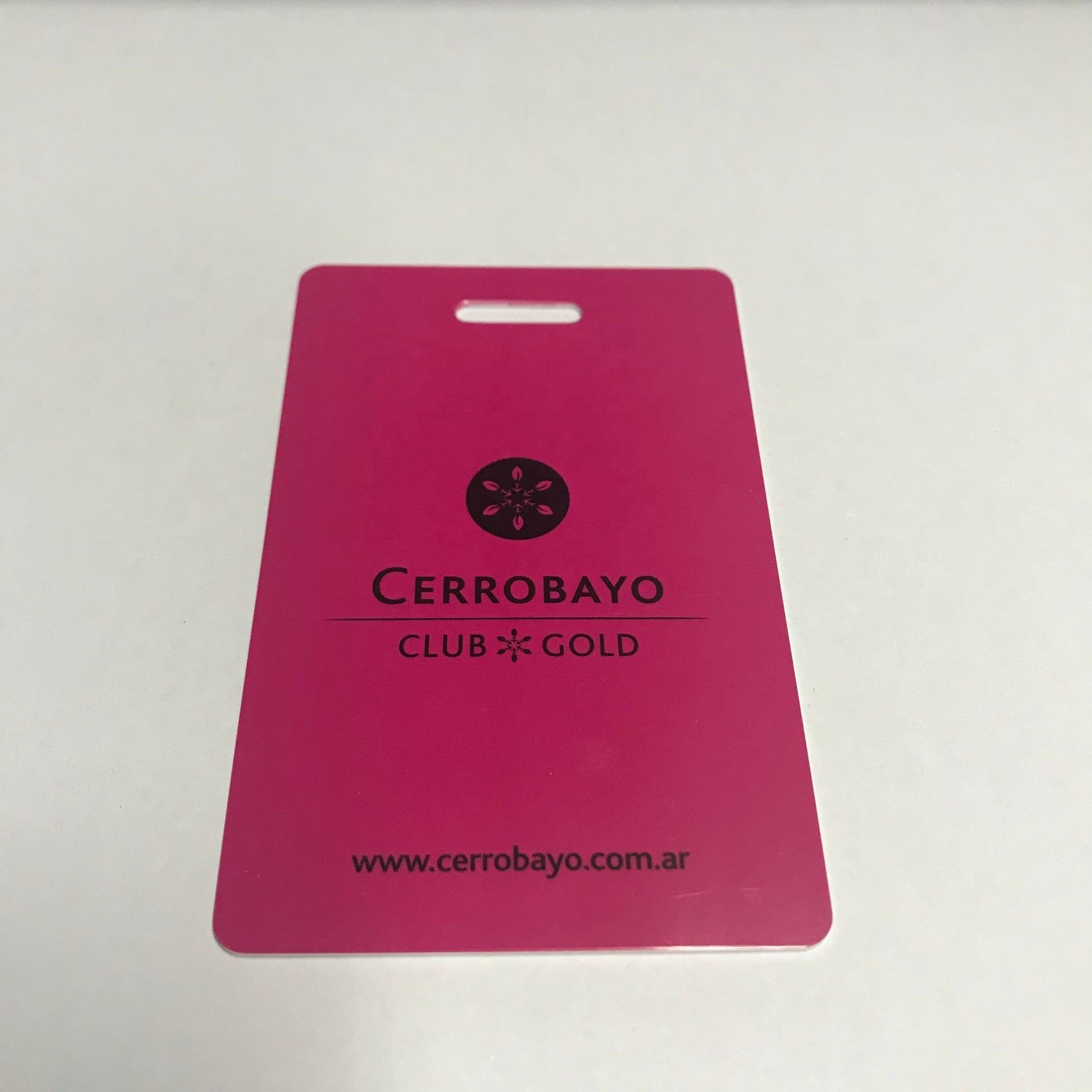 printed/white blank CR80 or customized plastic pvc ID/IC cards
