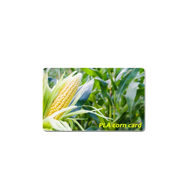 smart sports stadium Group Sports Venues fun card