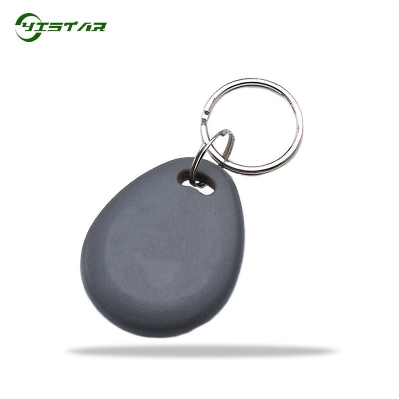 125KHZ TK4100 T5577 RFID Card KeyChain Shenzhen Factory Smart Proximity RFID Keychain ID Tags Access Control Card