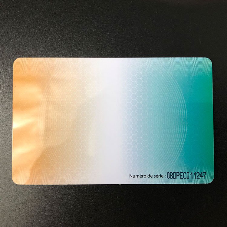 Smart Card Driver License