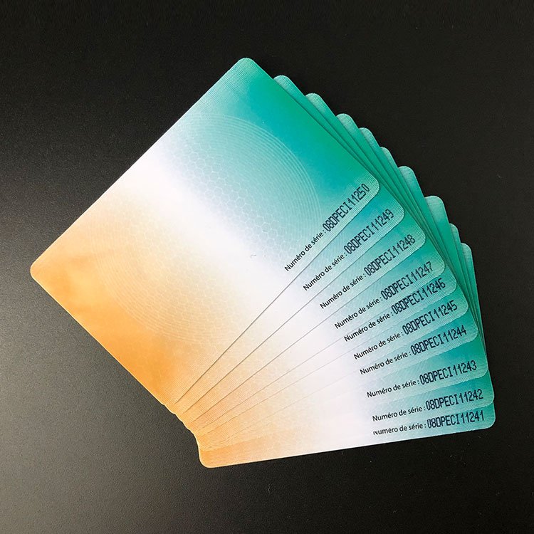 Smart Card Driver License