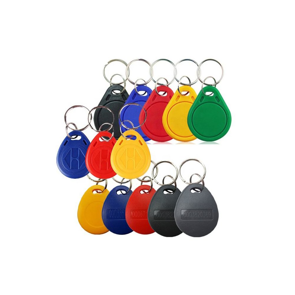 125KHz 13.56MHz Proximity TK4100 EM4200 EM4305 T5577 RFID Keyfob Keychain Ring Rewritable RFID Key Fob Tag ID key card