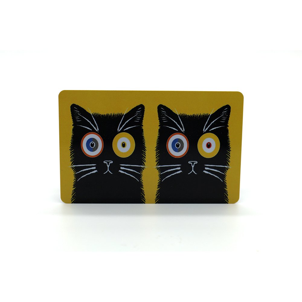 Custom Printing Card CR80 Size High Quality PVC NTAG213 / 215 / 216 NFC Card 13.56MHz Read & Write