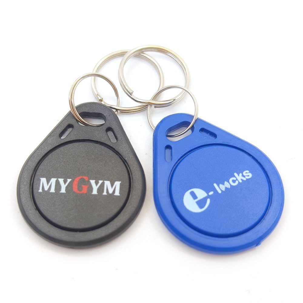 RZX Wholesale 125KHz TK4100 Blue ABS LF Keyfobs For Access Card Keychain