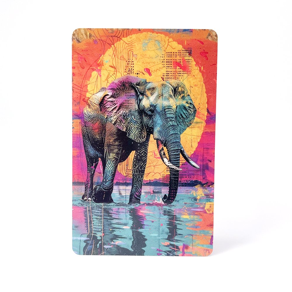Superior HF Chip RFID Card MIFARE DESFire EV3 2K / 4K / 8K Memory Superb Printing Effect PVC Card