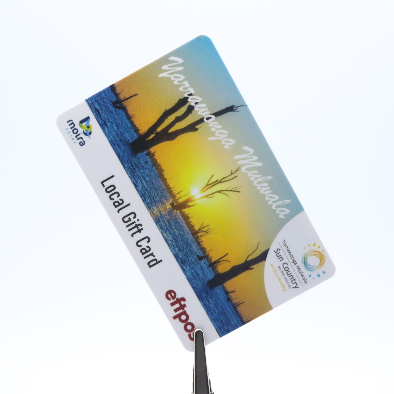 Rfid Contact IC SLE4442 Emv Chip Smart Chip Visa Credit Card PVC Plastic Card With Hico Magnetic Stripe