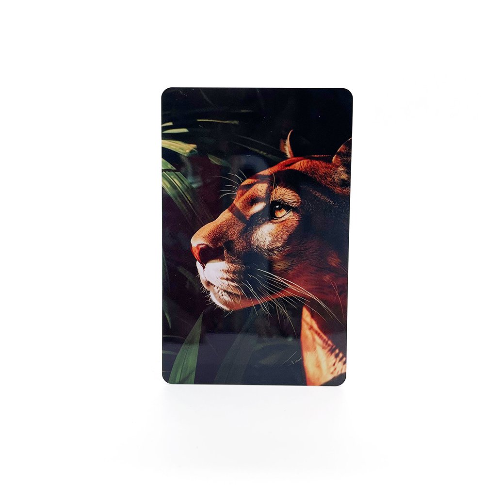 1k Chip RFID Card 13.56MHz Fudan F08 for Public Transportation Ticketing Gift Card