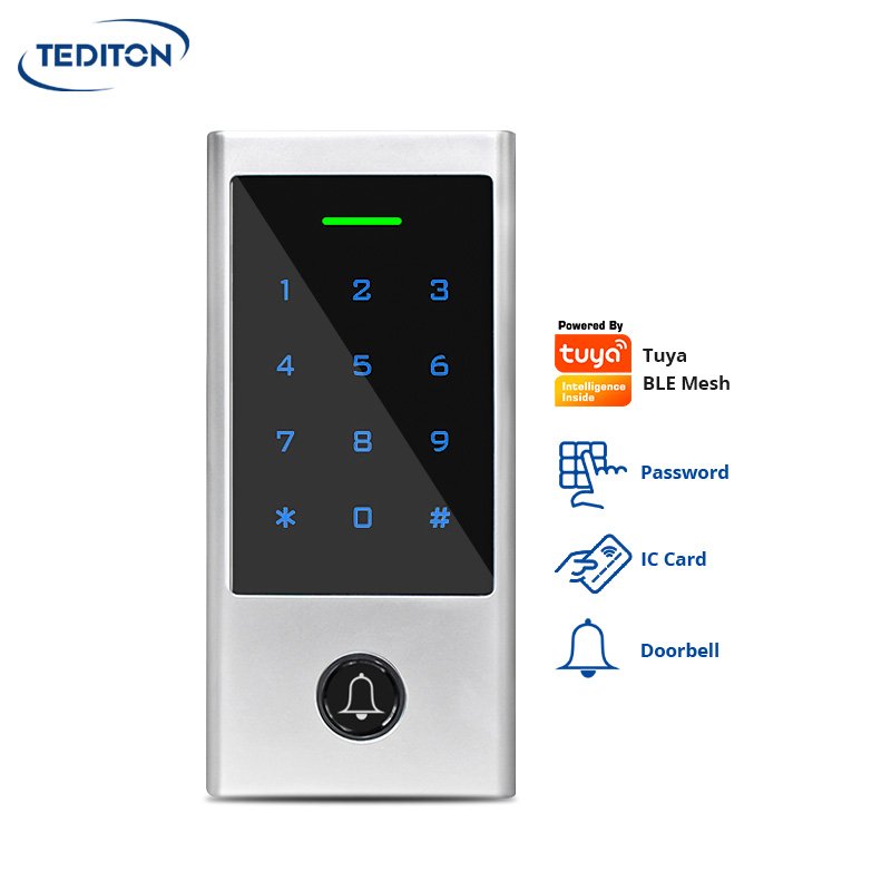 Tediton Waterproof Outdoor IP66 Rfid Touch-screen Smart keypad Tuya Access Control for Office Apartment
