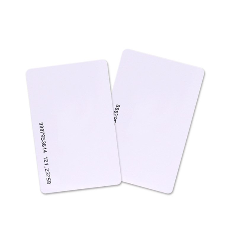 Factory custom frequency 125KHz chip TK4100 EM4200 EM4305 T5577 RFID Keyfob Keychain IC ID access card