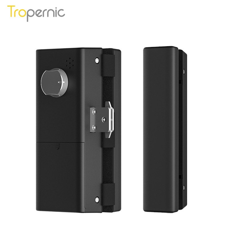 Wholesale Frameless Swing Electronic Digital Biometric Double Door Fingerprint Magnetic Smart Tuya Sliding Glass Door Lock