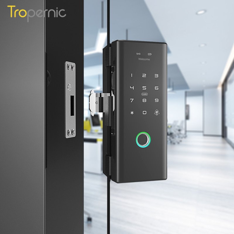 Wholesale Frameless Swing Electronic Digital Biometric Double Door Fingerprint Magnetic Smart Tuya Sliding Glass Door Lock