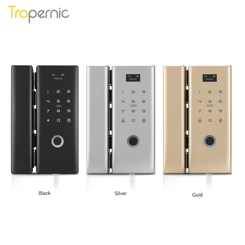 Wholesale Frameless Swing Electronic Digital Biometric Double Door Fingerprint Magnetic Smart Tuya Sliding Glass Door Lock