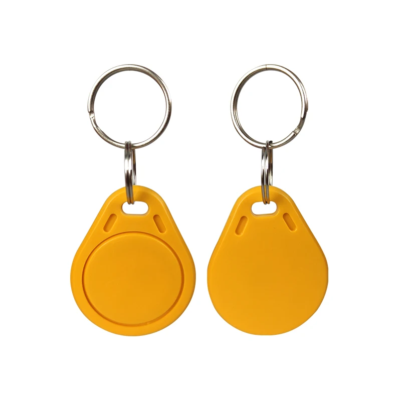 ABS Door13.56 Mhz Compatible 1k RFID Key Tags Active RFID Tag 125Khz Read Write T5577 Access Control Key Tag Rfid Key Fob