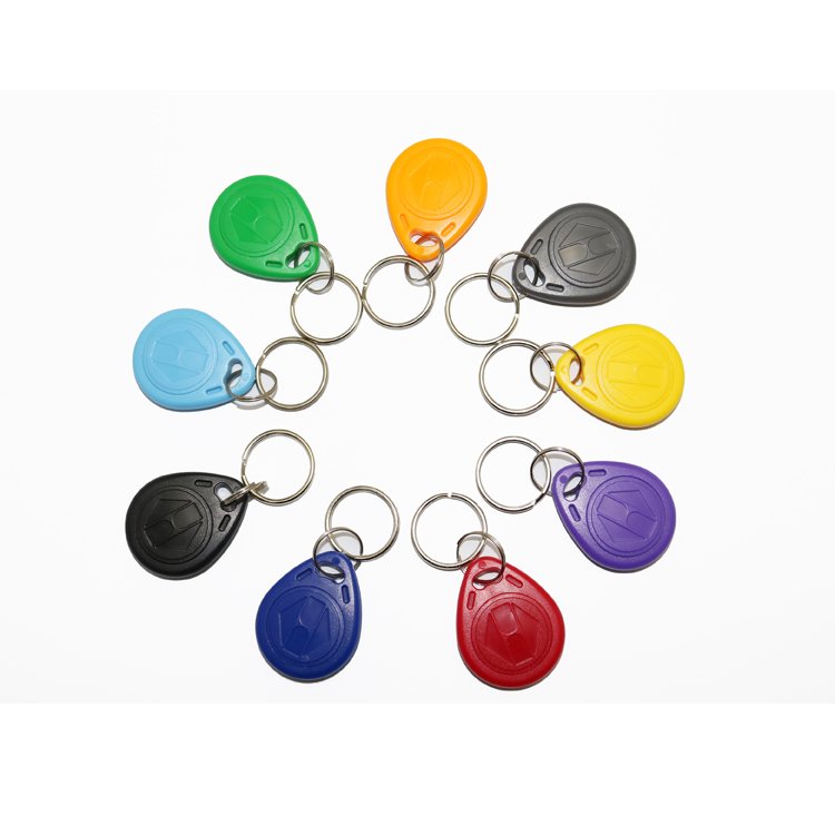 Toptag Wholesale RFID 125Khz TK4100 ID ABS Key Fob Read Only Key Tag Keychain for Community Entrance