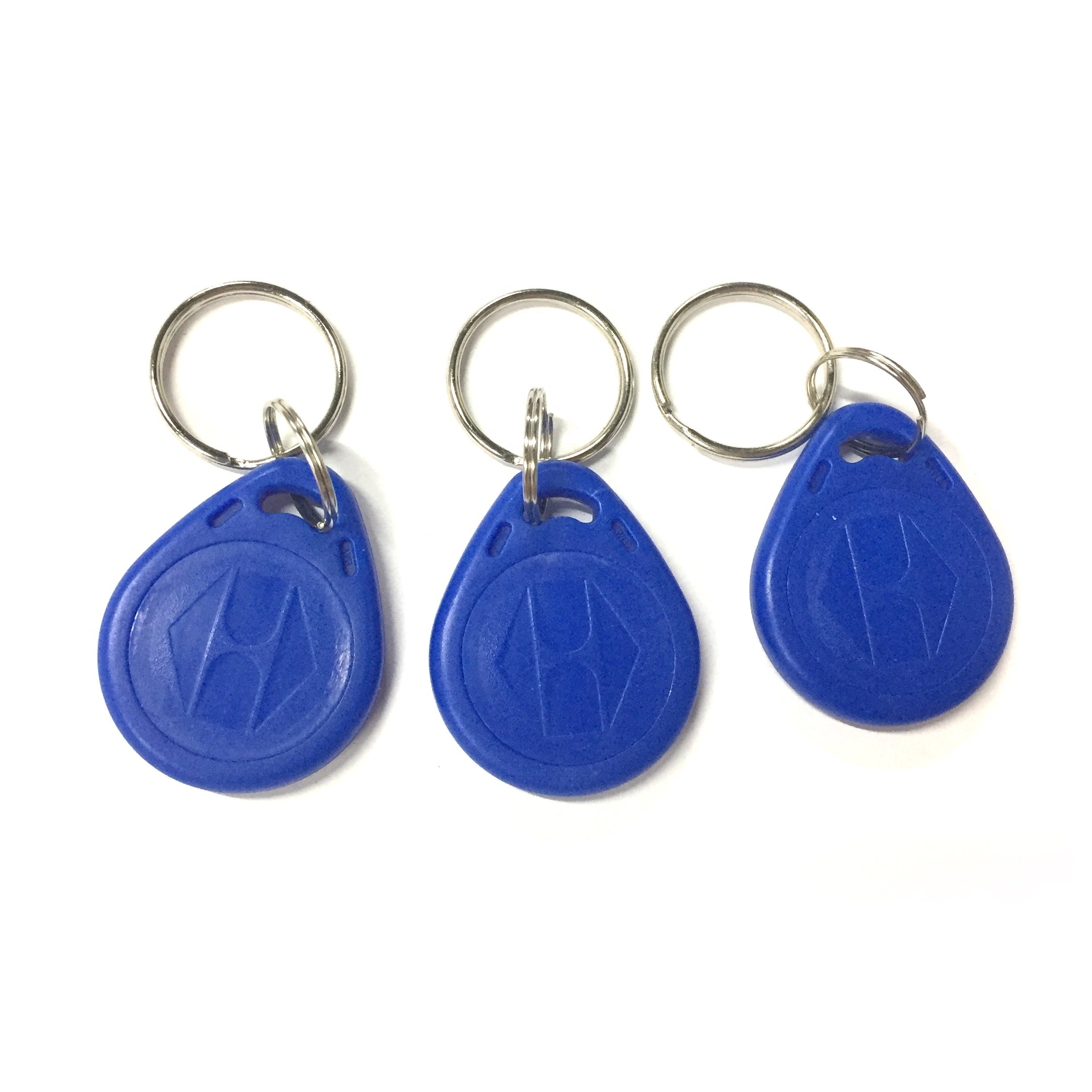 Custom Logo RFID EM TK4100 Read Only ABS Key Tag 125Khz LF Programmable T5577 Key Fob Access Control Keychain