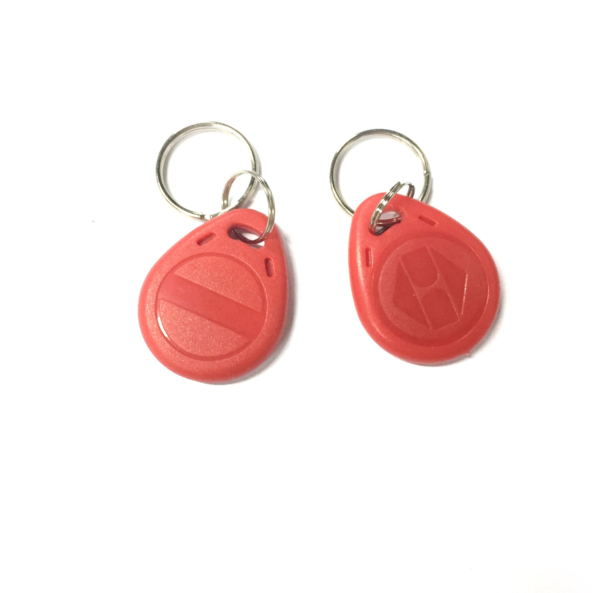 Custom Logo RFID EM TK4100 Read Only ABS Key Tag 125Khz LF Programmable T5577 Key Fob Access Control Keychain